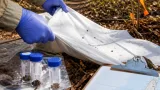 Acadia-led five-year study maps Nova Scotia tick hot spots and what they carry