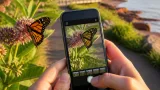 Charlottetown BioBlitz invites residents to log nature finds and aid real research