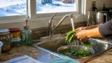 Nunavut reports under five cyclospora cases; no link found to U.S. outbreak