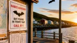 Rabies detected in bat in Trinity Bay area; province urges caution around bat encounters