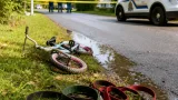 RCMP decline to lay charges after fatal dog attack that killed 13-year-old in Welshtown