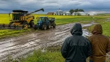 Repeated rain stalls Manitoba harvest; province about two-thirds behind typical pace