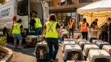 Victoria shelter gives temporary refuge to 34 animals evacuated from Cariboo wildfires