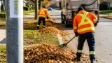 Waterloo sets four-week loose leaf collection starting Oct. 26