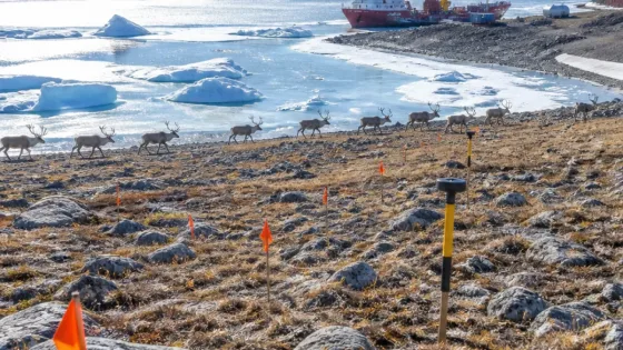 Hunters press for answers on Grays Bay road; company aims to respond by Oct. 23