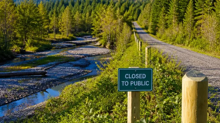 Coquitlam park grows by 154.5 acres after Metro Vancouver land purchase