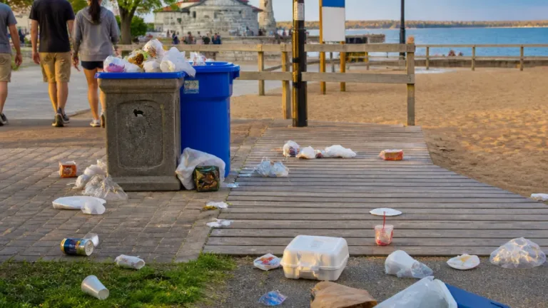 Kingston pier left littered after Canada Day celebration; debate grows over waste management