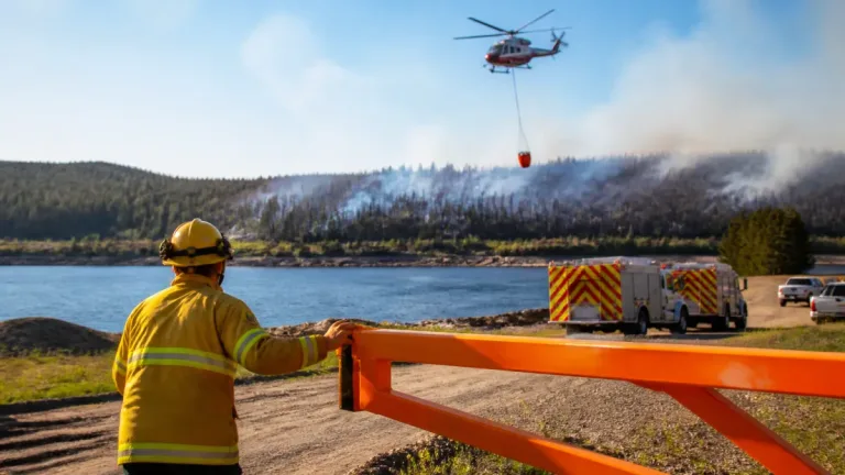 Labrador West lifts evacuation alerts as Walsh River wildfire brought under control