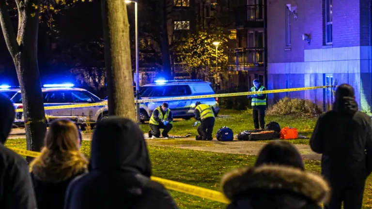 Man stabbed in Villeray park: Montreal police probe brawl near 20th Avenue