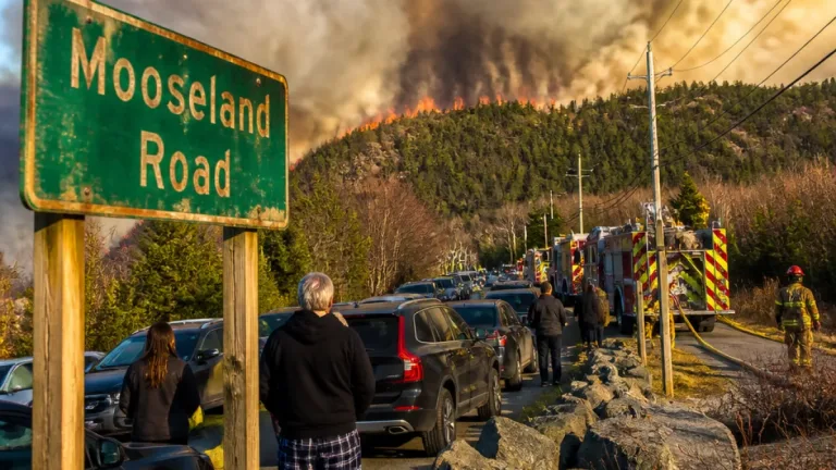 Mooseland Road wildfire grows to 1,700 hectares as more than 100 residents leave homes