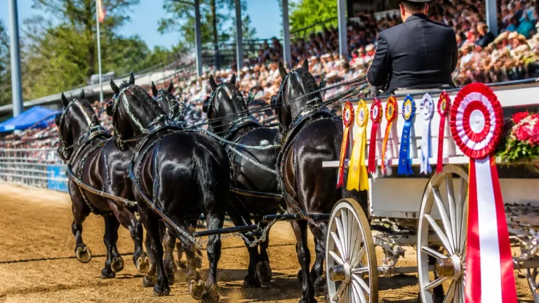 Pickering namesake farm racks up heavy-horse honours in Calgary and Minnesota