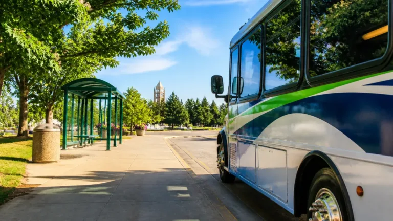 St. Albert looks back at transit’s real birthday as service marks milestone year
